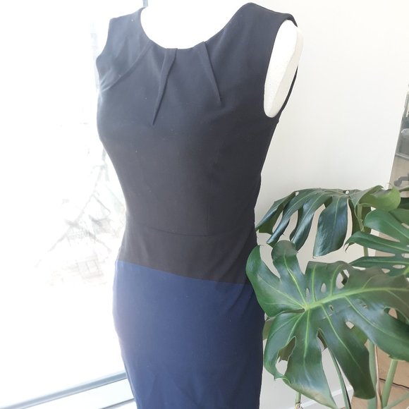 ⭐ BCBG Scoop Neck Colour Block Dress - Picture 1 of 2